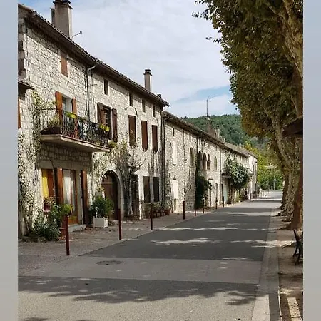 Les Oliviers - Le Domaine Du Viticulteur - St Maurice D Ibie *