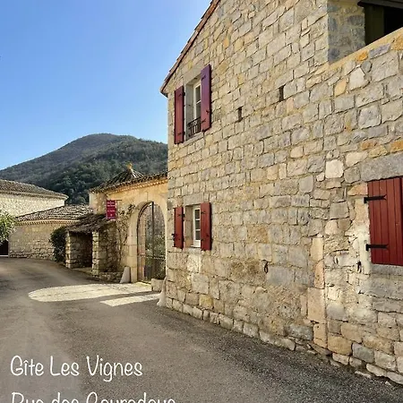 Holiday home Les Oliviers - Le Domaine Du Viticulteur - St Maurice D Ibie Saint-Maurice-d'Ibie