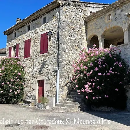Les Oliviers - Le Domaine Du Viticulteur - St Maurice D Ibie *