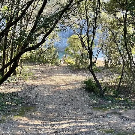 Les Oliviers - Le Domaine Du Viticulteur - St Maurice D Ibie Saint-Maurice-d'Ibie