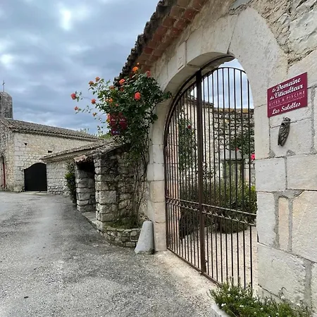 Holiday home Les Oliviers - Le Domaine Du Viticulteur - St Maurice D Ibie