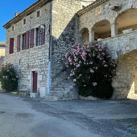 Les Oliviers - Le Domaine Du Viticulteur - St Maurice D Ibie Holiday home