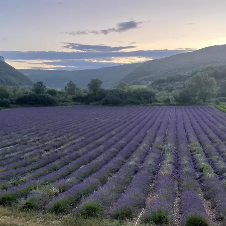 Les Oliviers - Le Domaine Du Viticulteur - St Maurice D Ibie Saint-Maurice-d'Ibie